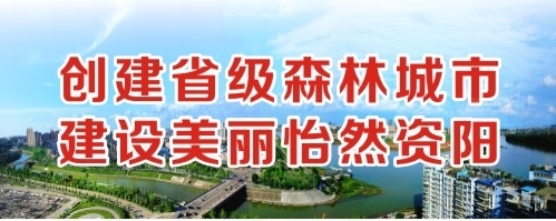 日白虎逼视频创建省级森林城市 建设美丽怡然资阳